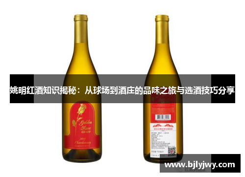 姚明红酒知识揭秘：从球场到酒庄的品味之旅与选酒技巧分享